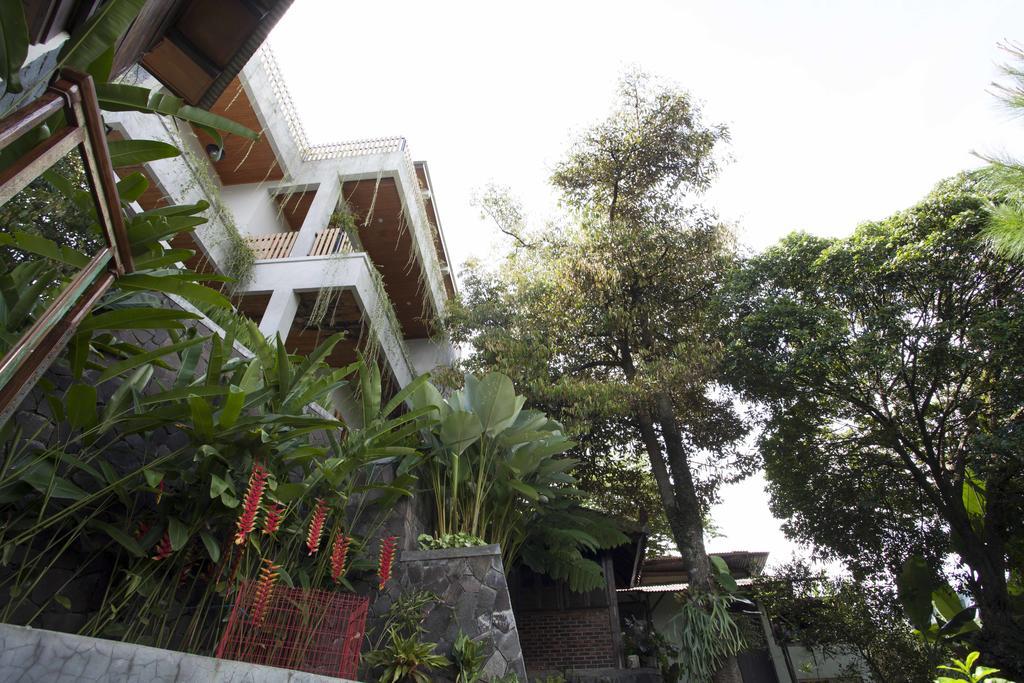 คาซ่า เดอ แอปเปิ้ล Hotel บันดุง ภายนอก รูปภาพ